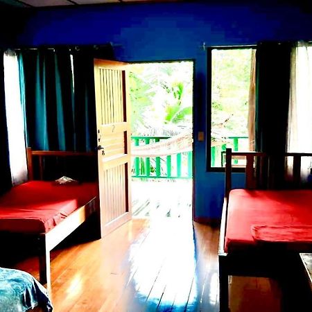 Allegra Hostel Drake Bay Zewnętrze zdjęcie