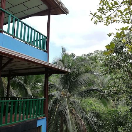 Allegra Hostel Drake Bay Zewnętrze zdjęcie