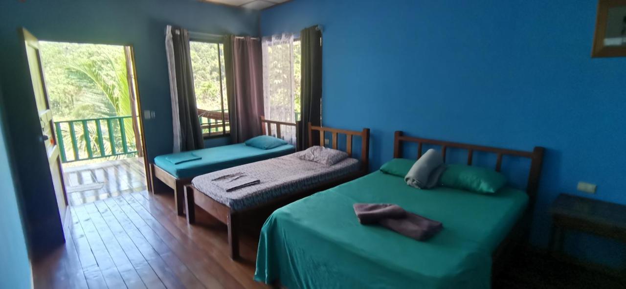 Allegra Hostel Drake Bay Zewnętrze zdjęcie