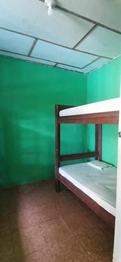 Allegra Hostel Drake Bay Zewnętrze zdjęcie