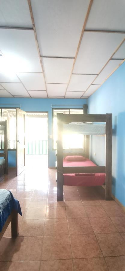 Allegra Hostel Drake Bay Zewnętrze zdjęcie