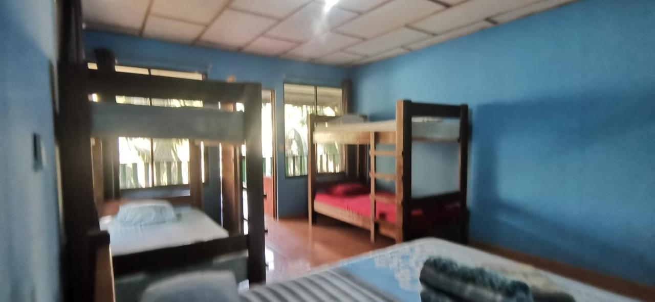 Allegra Hostel Drake Bay Zewnętrze zdjęcie